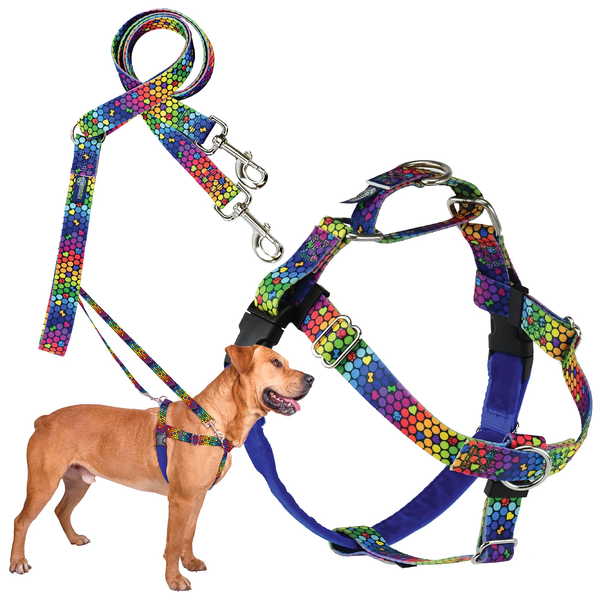 2 Hounds Design - Freedom No-Pull Harness & Training Leash in Blue and Rainbow | Dual Leash Loops, No Pulling on Walks | Lined to Prevent Chaffing | for Large Sized Dogs (Size M, Chest 24”- 28”) — image 1