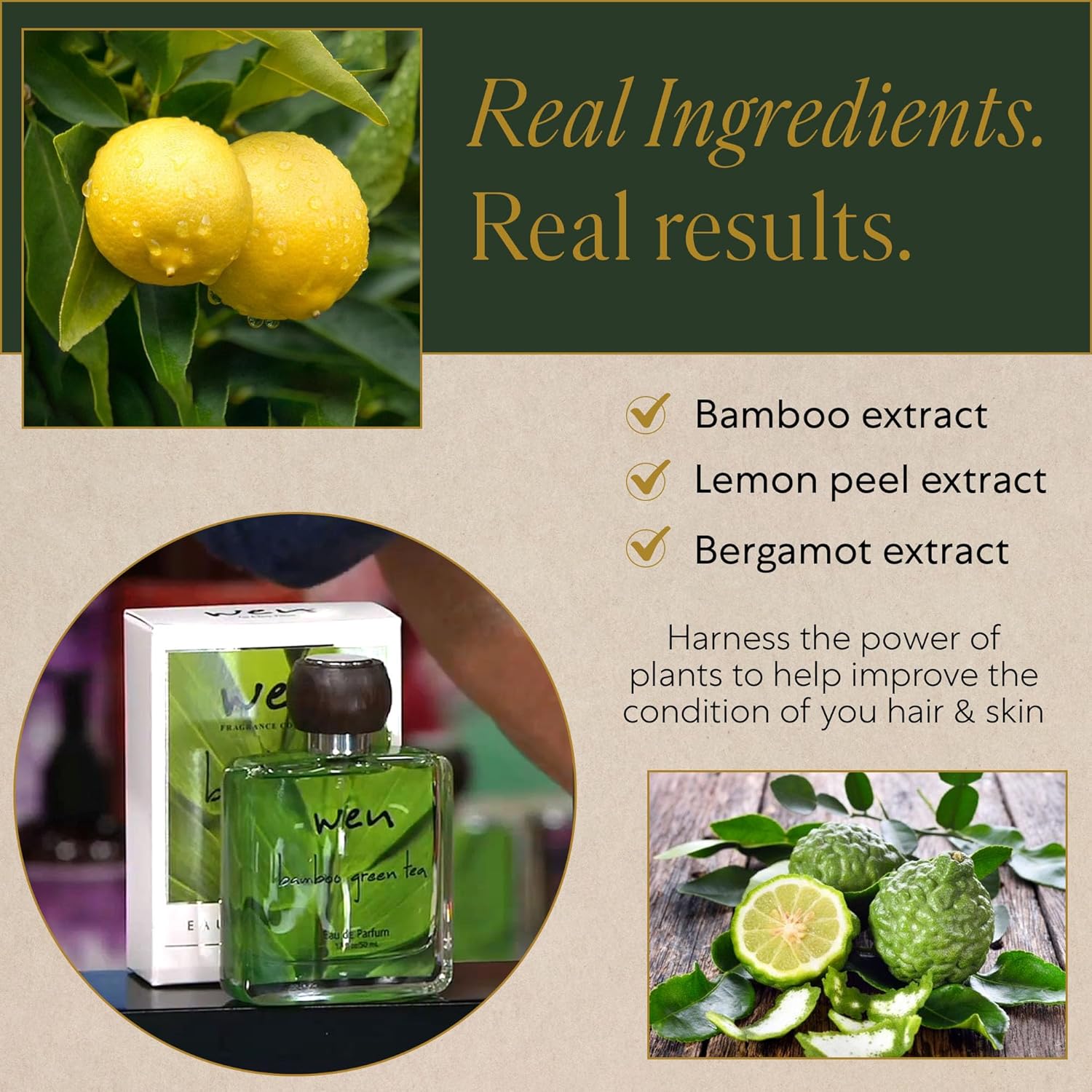 WEN by Chaz Dean Eau de Parfum - Green Tea Perfume, Green Tea Body Spray, Body Mist, Cologne Spray for Women & Men, Fresh Scent - Bamboo Green Tea, 1.7 Fl Oz (Pack of 1)