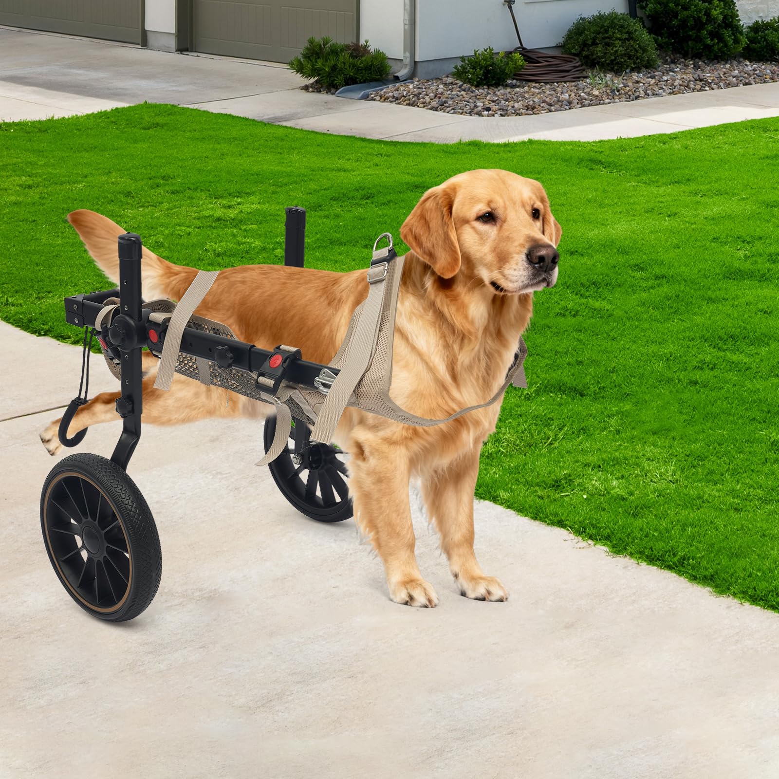 Silla de ruedas para perros XL, silla de ruedas de aluminio para perros grandes, silla de ruedas de perro ajustable, patas traseras, ruedas de goma antivibración, tejido de malla