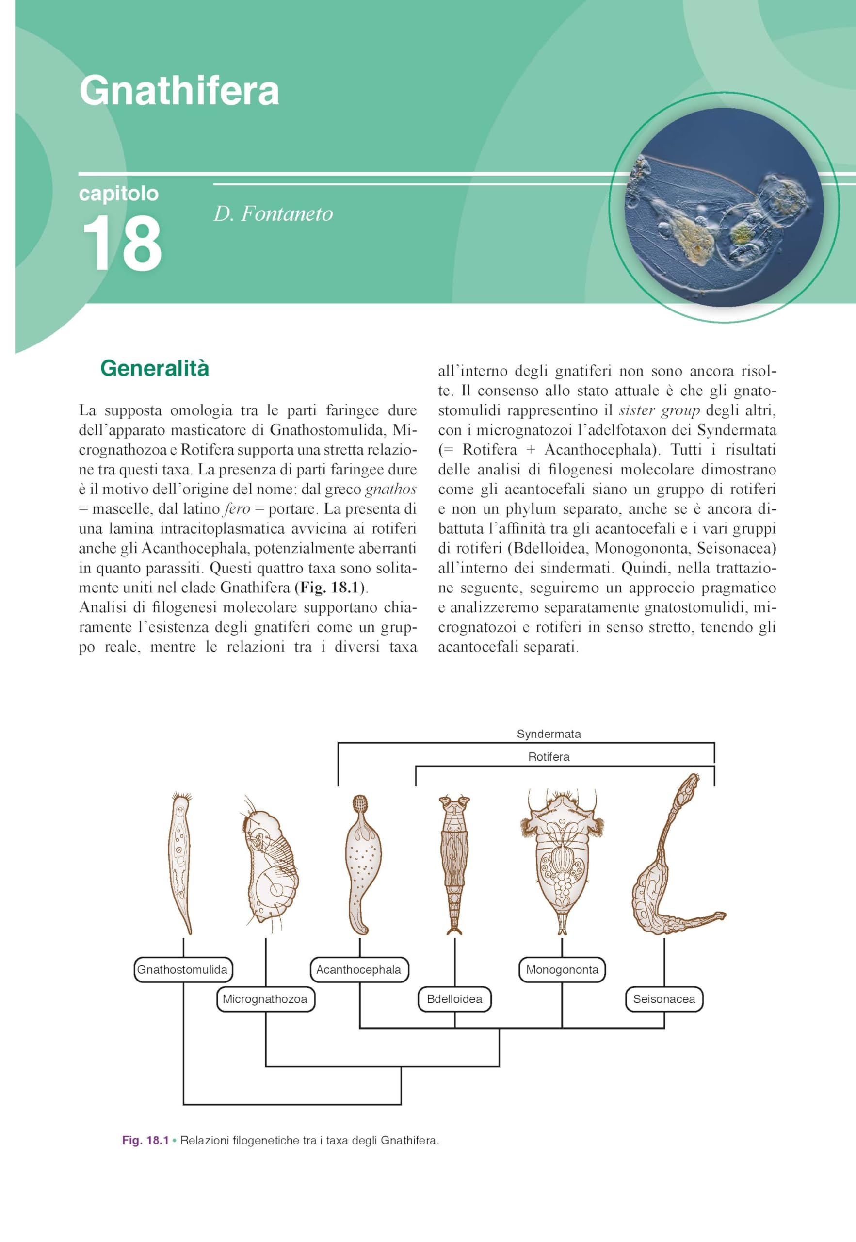 Manuale di zoologia