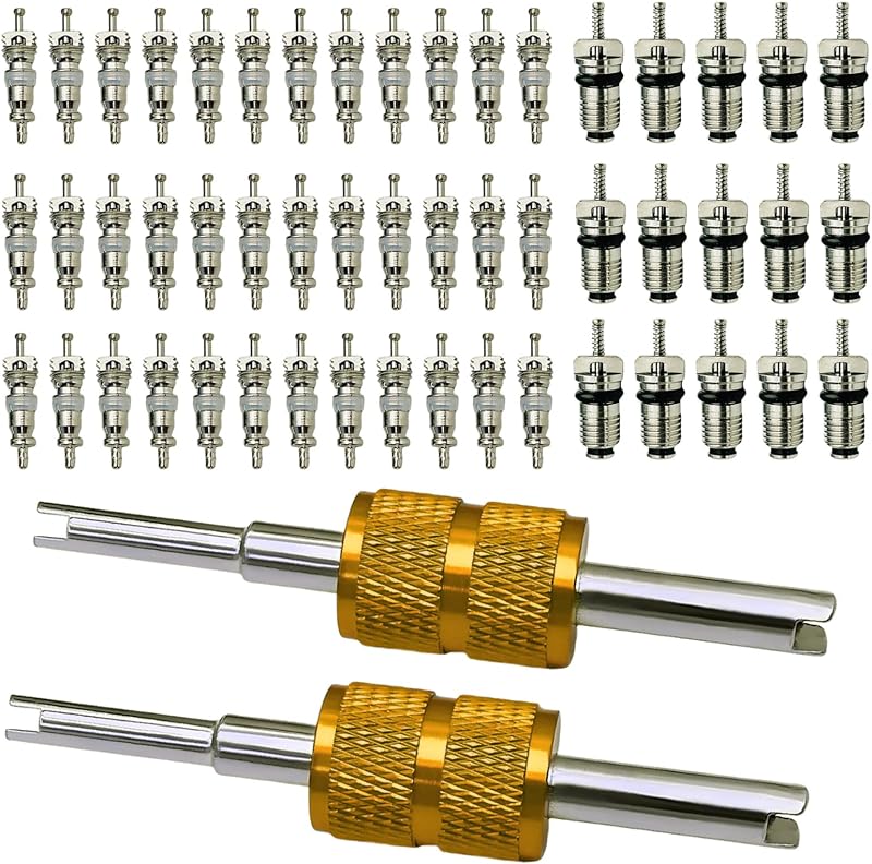 Kit de Reparo de Válvula Schrader para Ar-Condicionado R12 e R134a Aracey com 50 Núcleos de Cobre e 2 Ferramentas