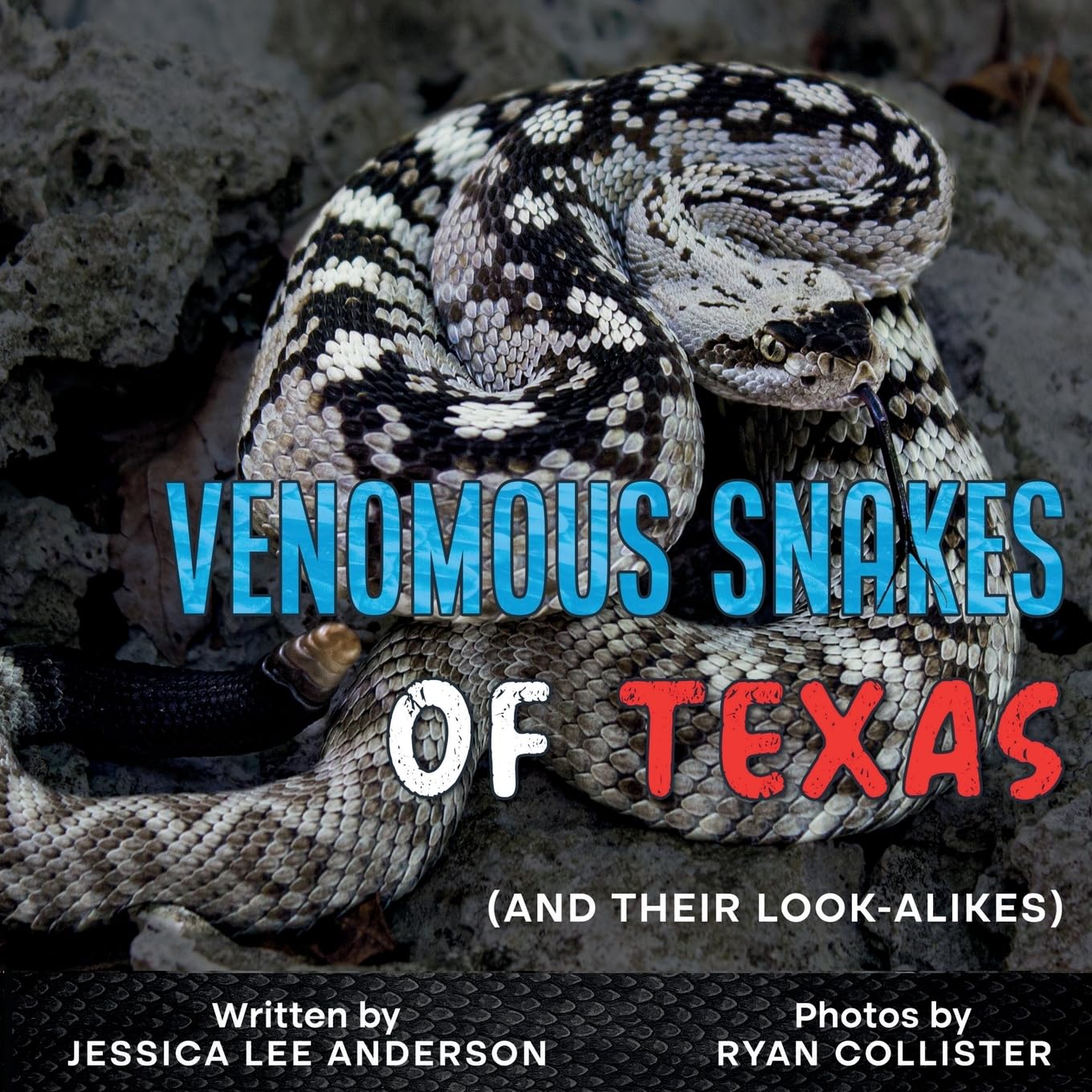 Venomous Snakes of Texas: And Their Look-alikes: And Their Look-Alikes: And Their Look-alikes