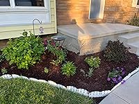 Review Image by renee99 renee99