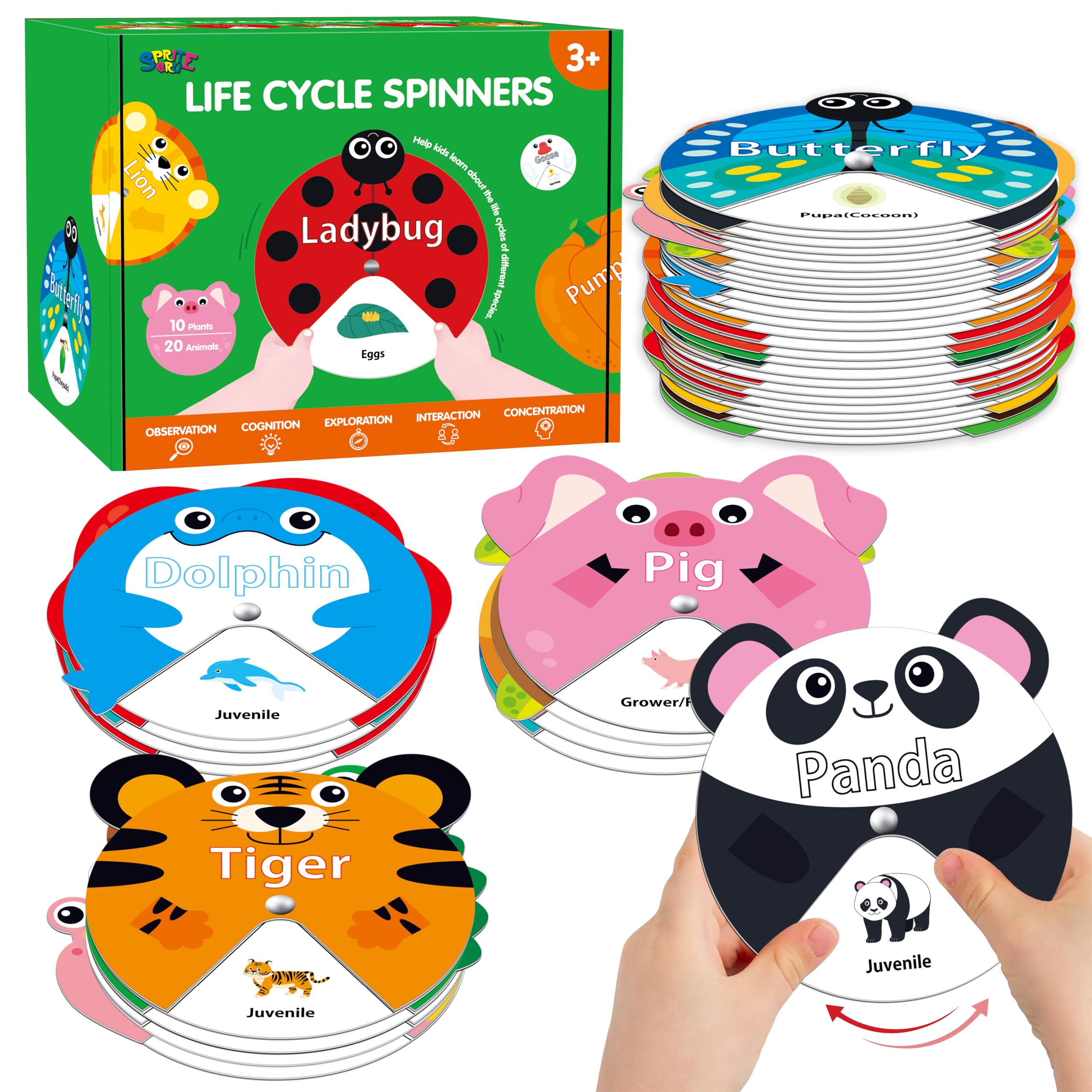 30 PCS Life Cycle Spinners, 20 Animals & 10 Plants Montessori Learning Toy for Kids, Educational Spinning Game Nature & Science Learning Activities for Toddlers