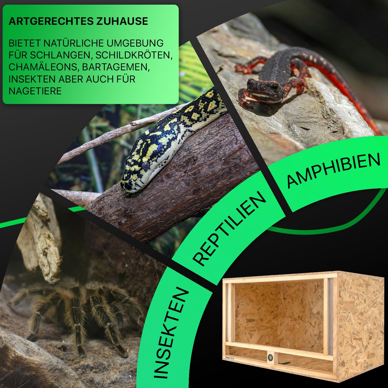 ITA Holz Terrarium 100x60x60 cm mit Frontbelüftung & Integriertem Hygrometer - Holzterrarium aus OSB-3 Platten - Terrarien für Reptilien, Schlangen, Amphibien - EU Produkt, FSC Zertifiziert