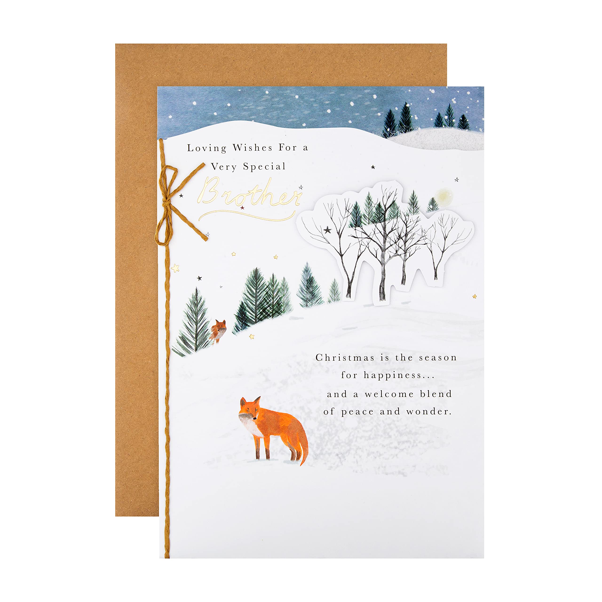 Hallmark Christmas Card for Brother - Traditional Illustrated Design