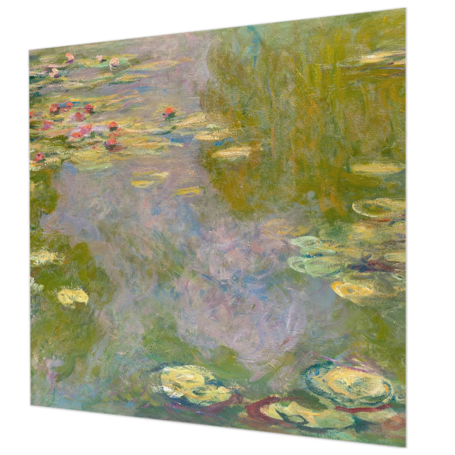Papier peint intissé nénuphars Tulup 250x250 pour masquer les défauts d'un mur