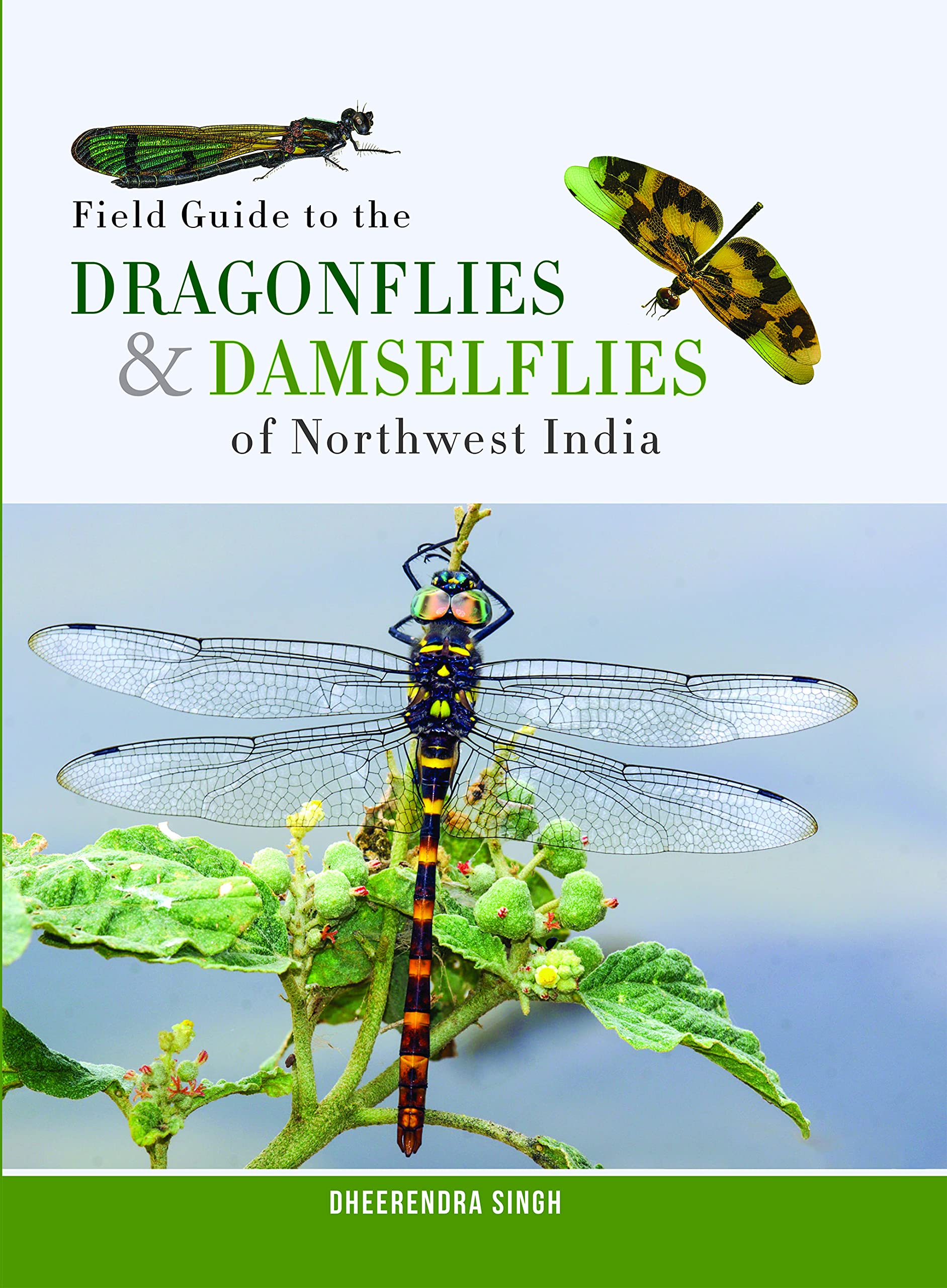 Buy Field Guide to the Dragonflies and Damselflies of North West
