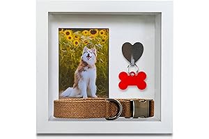 Green Pollywog Pet Memorial Frame