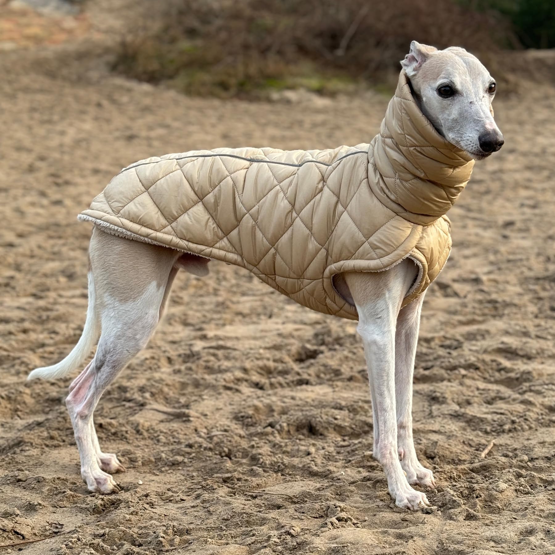 EDEL&SCHNELL Stepp-Wintermantel beige gefüttert mit Kunstpelz, Winterjacke Hund mit Reißverschluss, Hundemantel für große Hunde Rückenlänge 60-65 cm