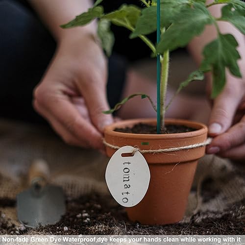 Miniatura 4 de 100 varillas de 18 pulgadas, soporte floral para plantas, poste de madera, palos de jardín de bambú verde con 1 rollo de cinta floral y 1 paquete de