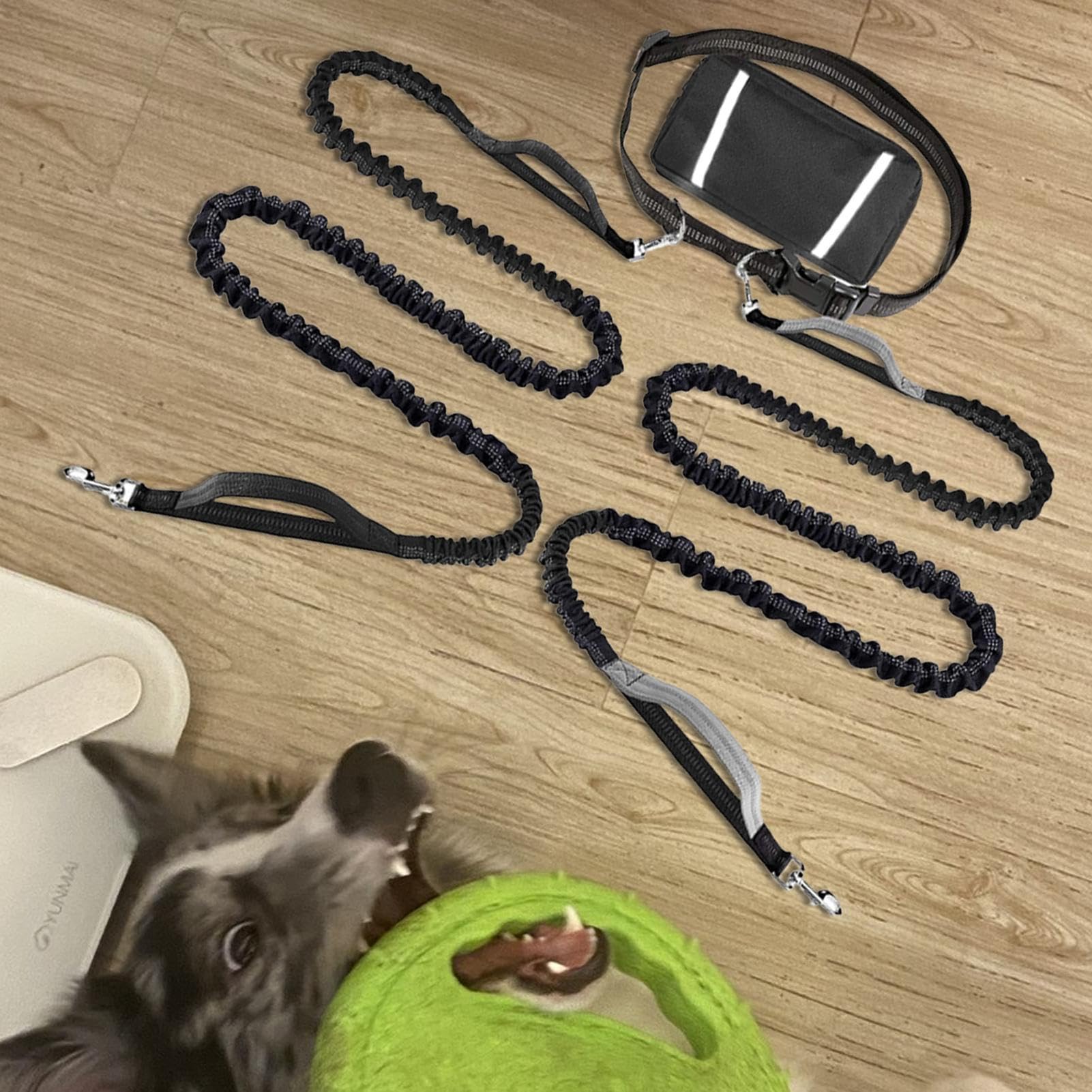 Longe Pour Chien Sangle Corde Chien Réfléchissante et Ajustable