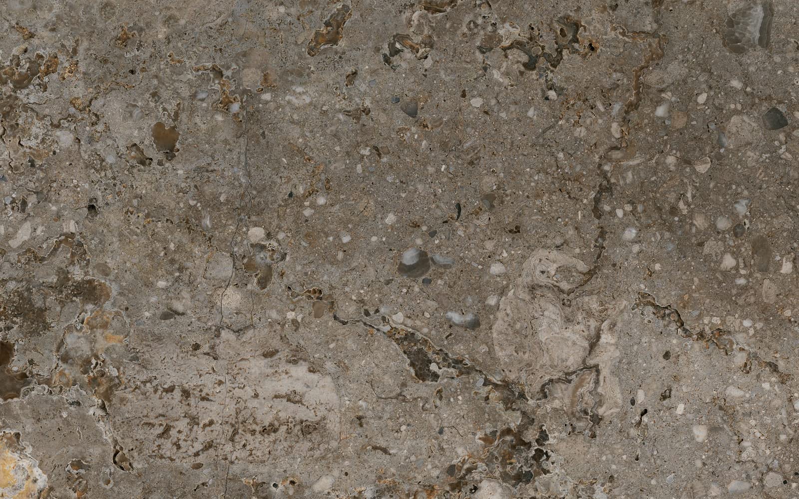 Go Bathrooms Dark Bali Indoor Outdoor Floor Tile | Stone Effect Pattern Tile | Porcelain Matt Tile | 450 X 650