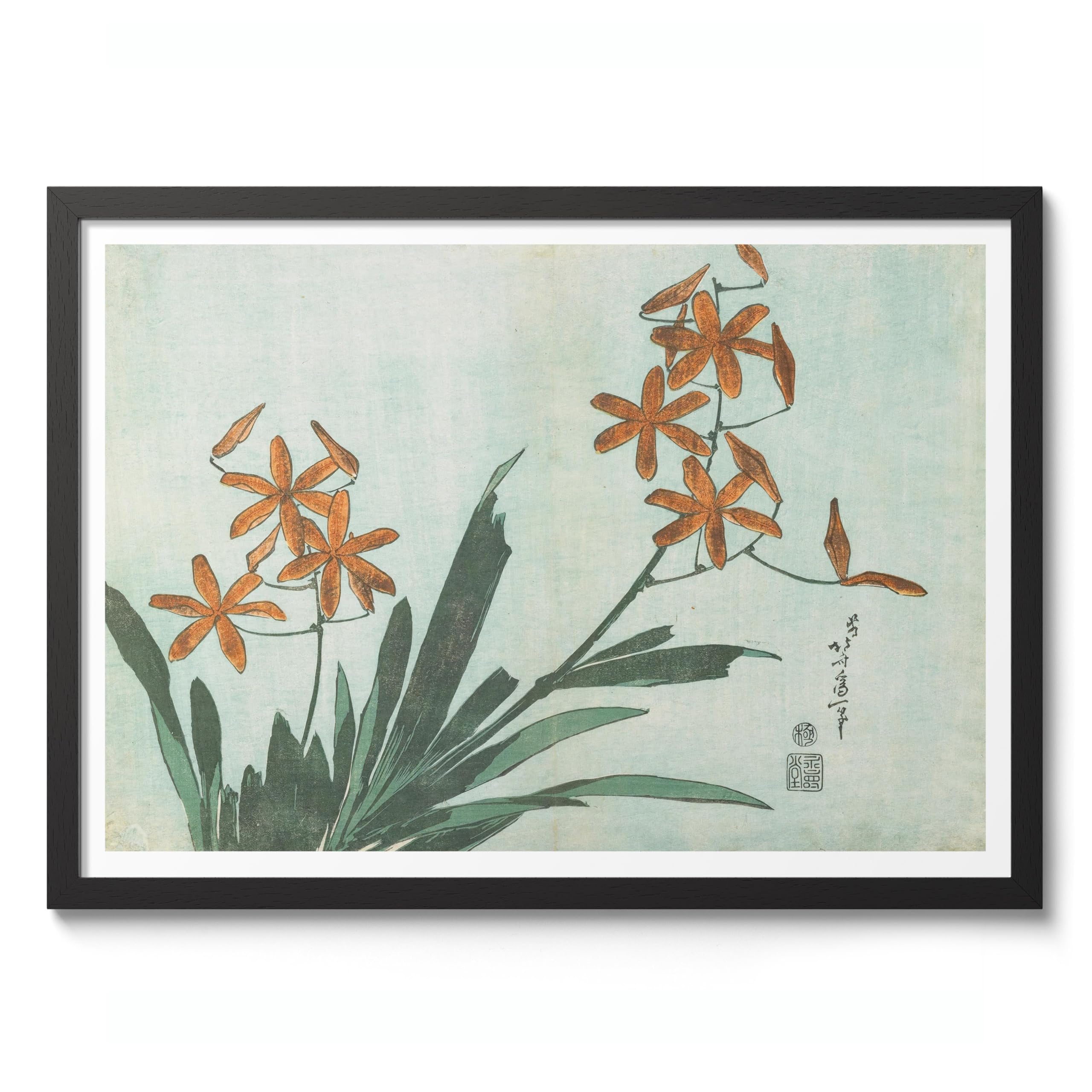 Blackberry Lily Katsushika Hokusai Poster, Japanese Woodblock Ukiyo-E Print, Vintage Art Picture Painting Wall Art Exhibition, Archival Matte, A3 (Black Frame) - 42x29.7cm
