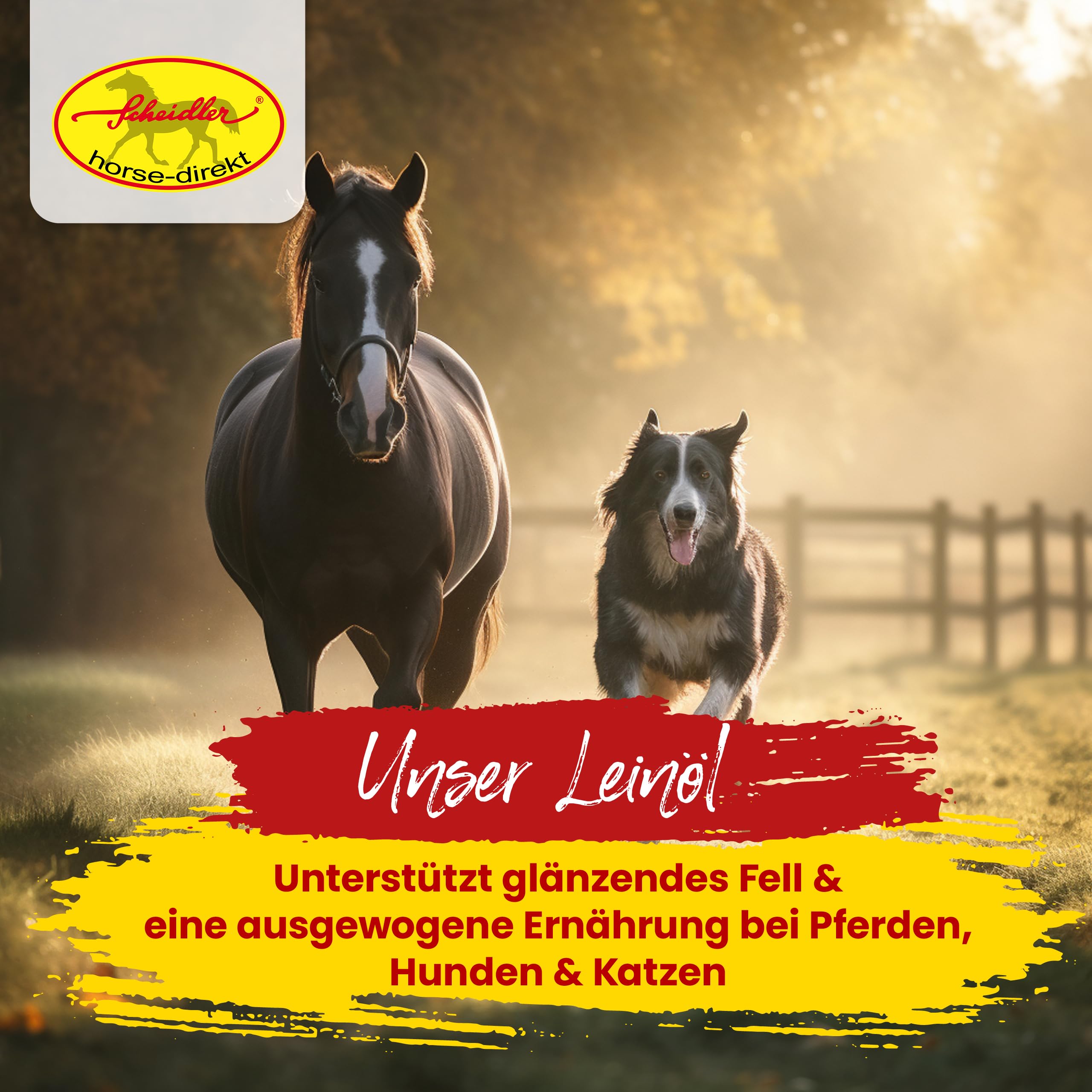 Scheidler horse-direkt Leinöl für Pferde, Hunde & Katzen 10 Liter – Mühlenfrisch kaltgepresstes Leinsamenöl ohne Zusätze – Reich an Omega 3 & 6 für Fellwechsel/Barf Öl – Aus Deutschland