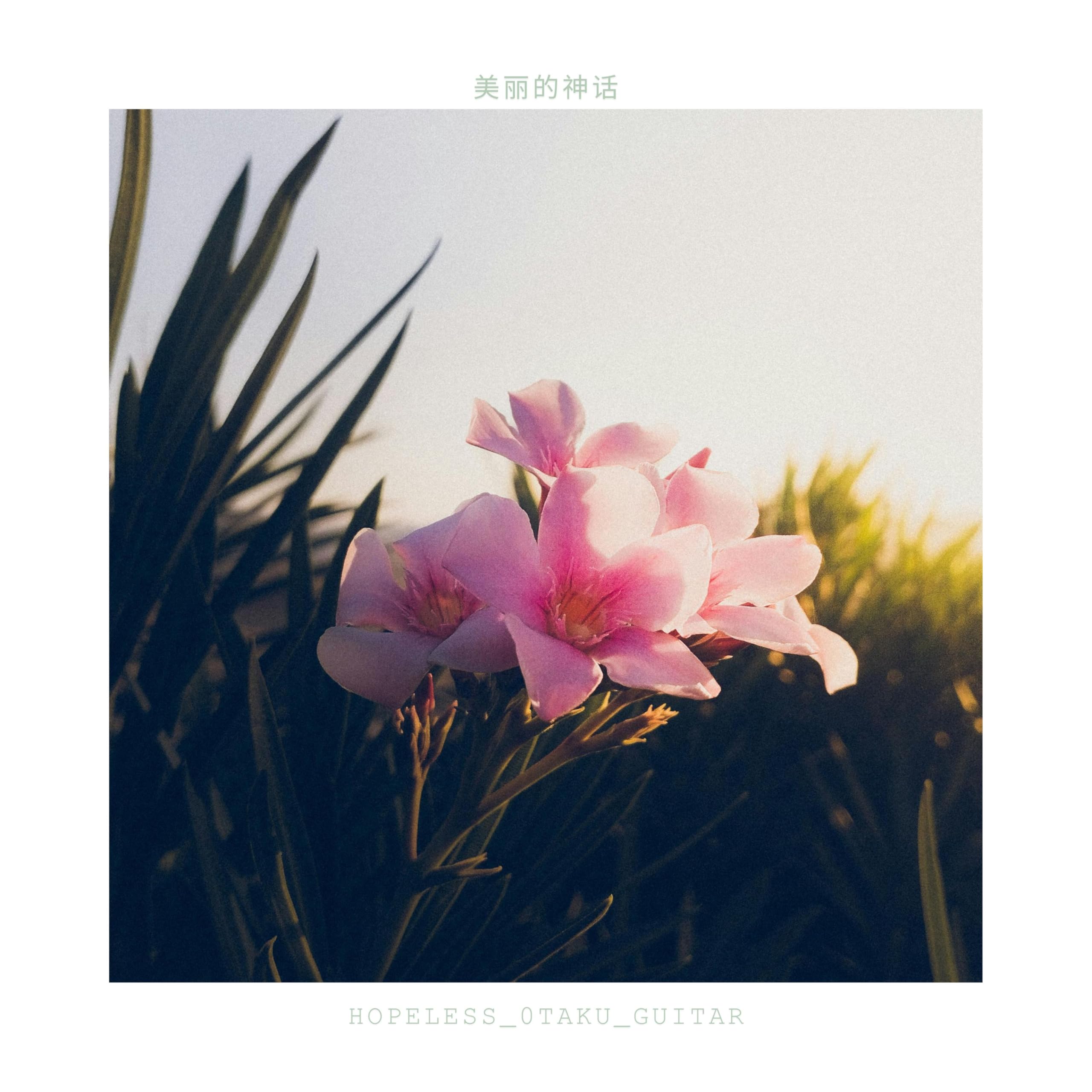 hopeless_0taku_guitar