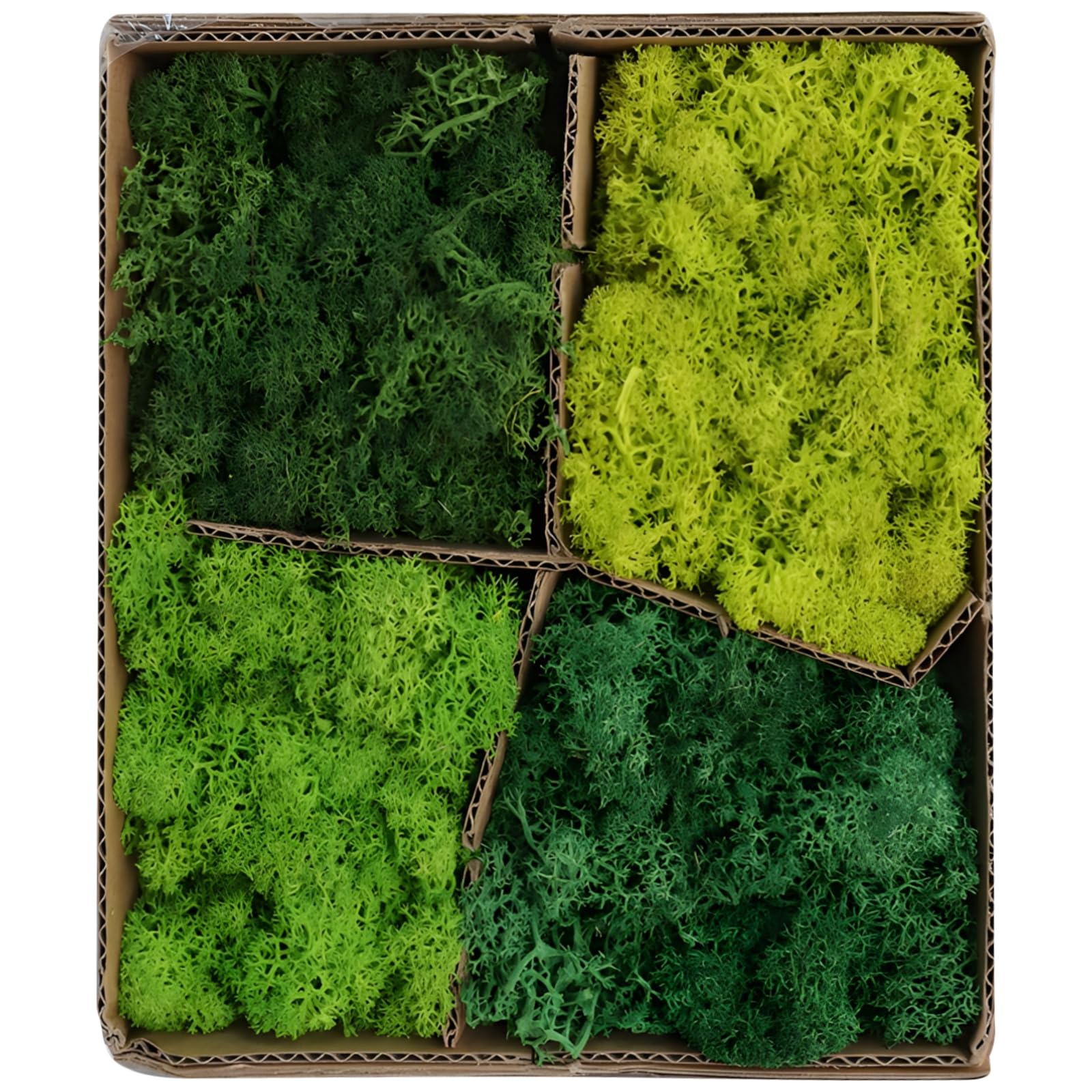 Generisch 1 Box konserviertes Moos, künstliche grüne Moosdeko in Vier Farbtönen, PE-Material, DIY-Bastelbedarf, Wanddeko für Zuhause, Terrarium, Modelllandschaft, für kreative Gestaltung