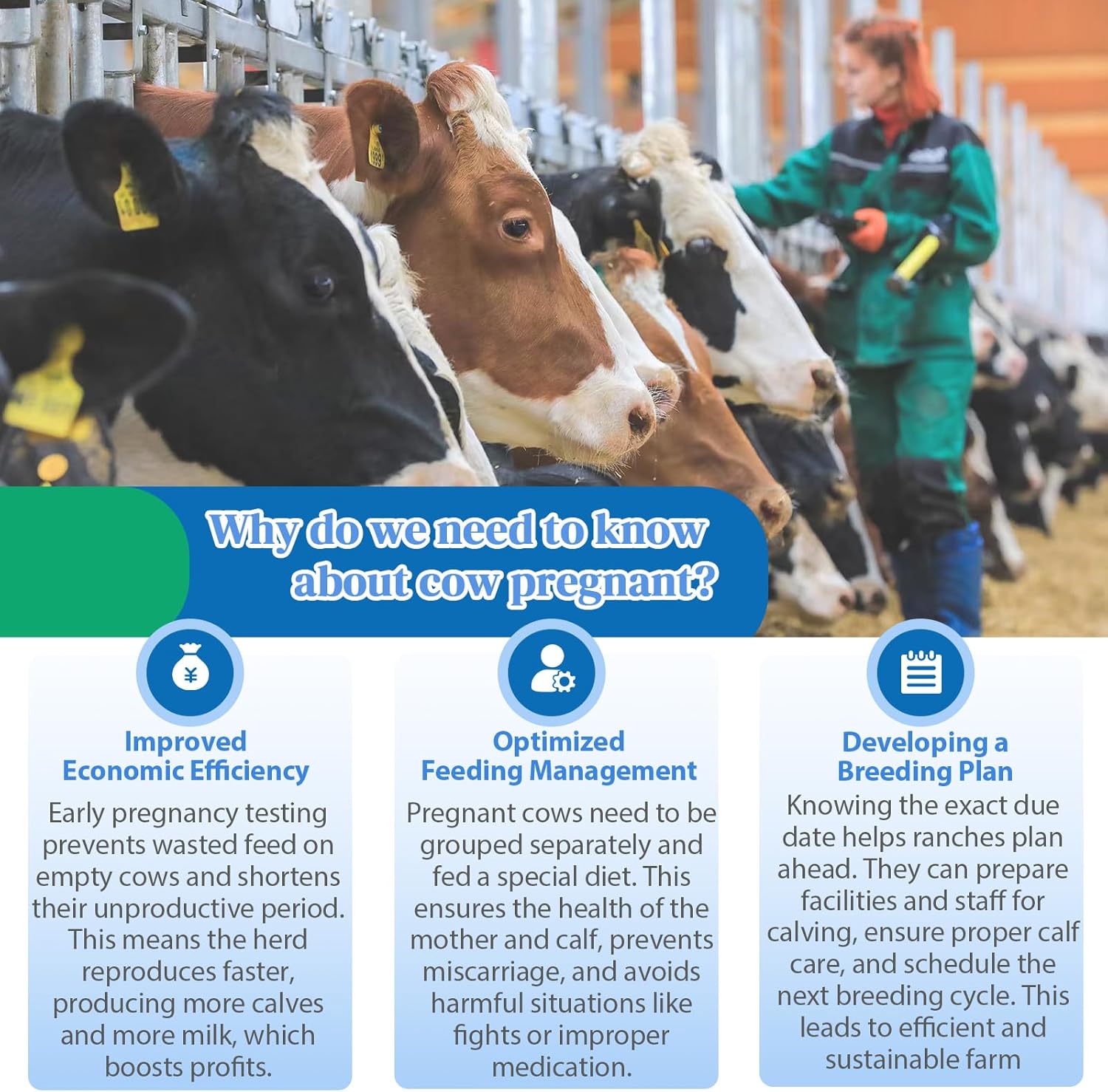 Bovine Pregnancy Test Kit: 10 Pack Cow Pregnancy Test Strips, Fast & Painless Urine Test for Early Detection, Results in 5-10 Minutes, Ideal for Professional Herd Management and Small Farms