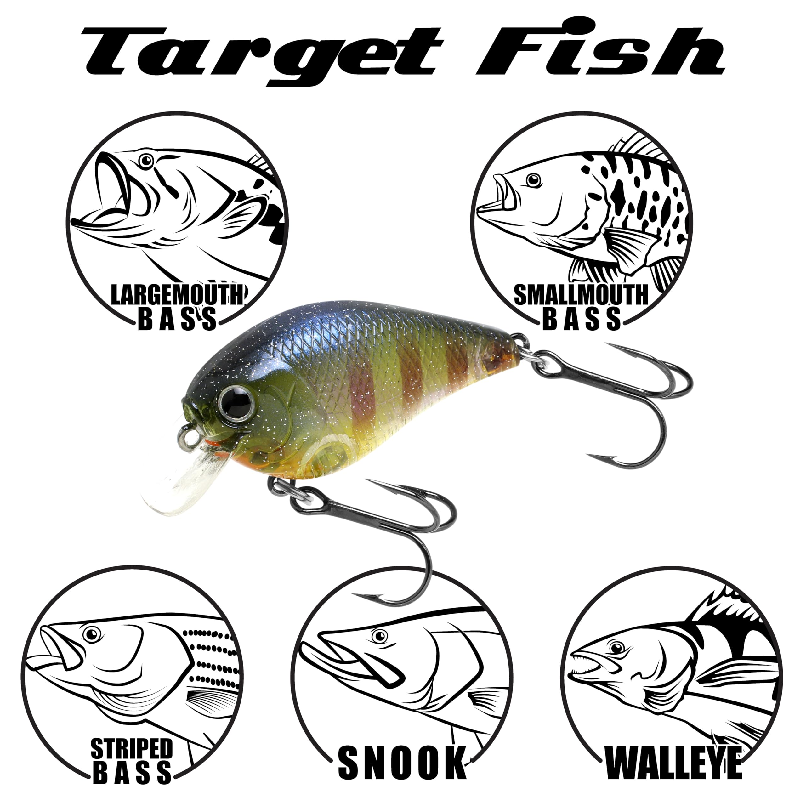 Amazon.co.jp: ラッキークラフト(LUCKY CRAFT)FAT CB BDS1 ~Big