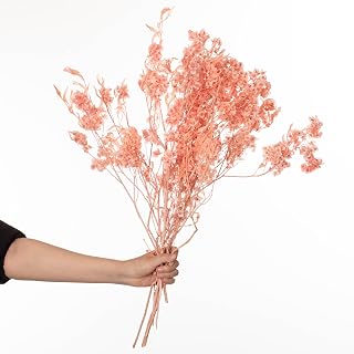 Uniquewise Bleached Pansy Flower Bundles Natural Preserved Vase Fillers Home Decor Accents for Living Room Shelves Porch Planters Kitchen Counters Patios Gardens and Wedding Table Centerpieces, Pink