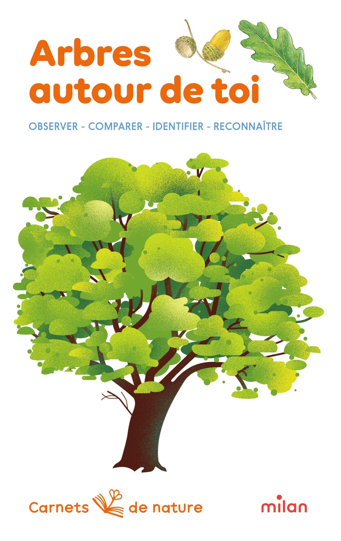 Arbres autour de toi: Observer, comparer, identifier, reconnaître