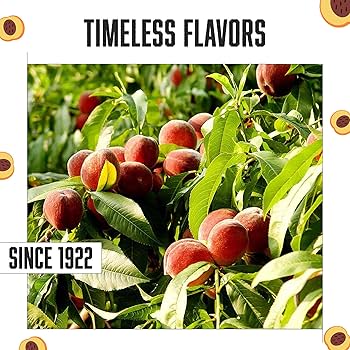 Amazon.com : Stewart Old Fashioned Peach Candy Puffs