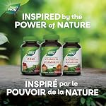 Nature's Way Vitamin D Gummies - Immune and Bone Support - 1000 IU Vitamin D3 per gummy - Strawberry, Peach and Mango Flavoured Gummies - 60 Gummies