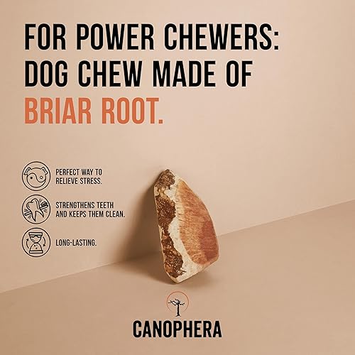 Miniatura 2 de Raíz masticable para perros, madera de brezo natural para dientes y encías saludables, tamaño pequeño