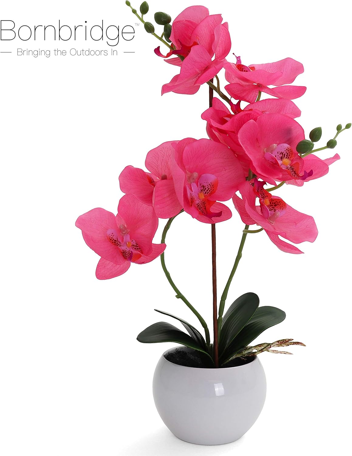 Bornbridge Artificial Orchid - Fake Orchid Plant with Real Touch Flowers - Faux Orchid with Long Stem Artificial Flowers - Potted Orchid/Plastic Orchid Fake Flowers (Single, Hot Pink - Large)