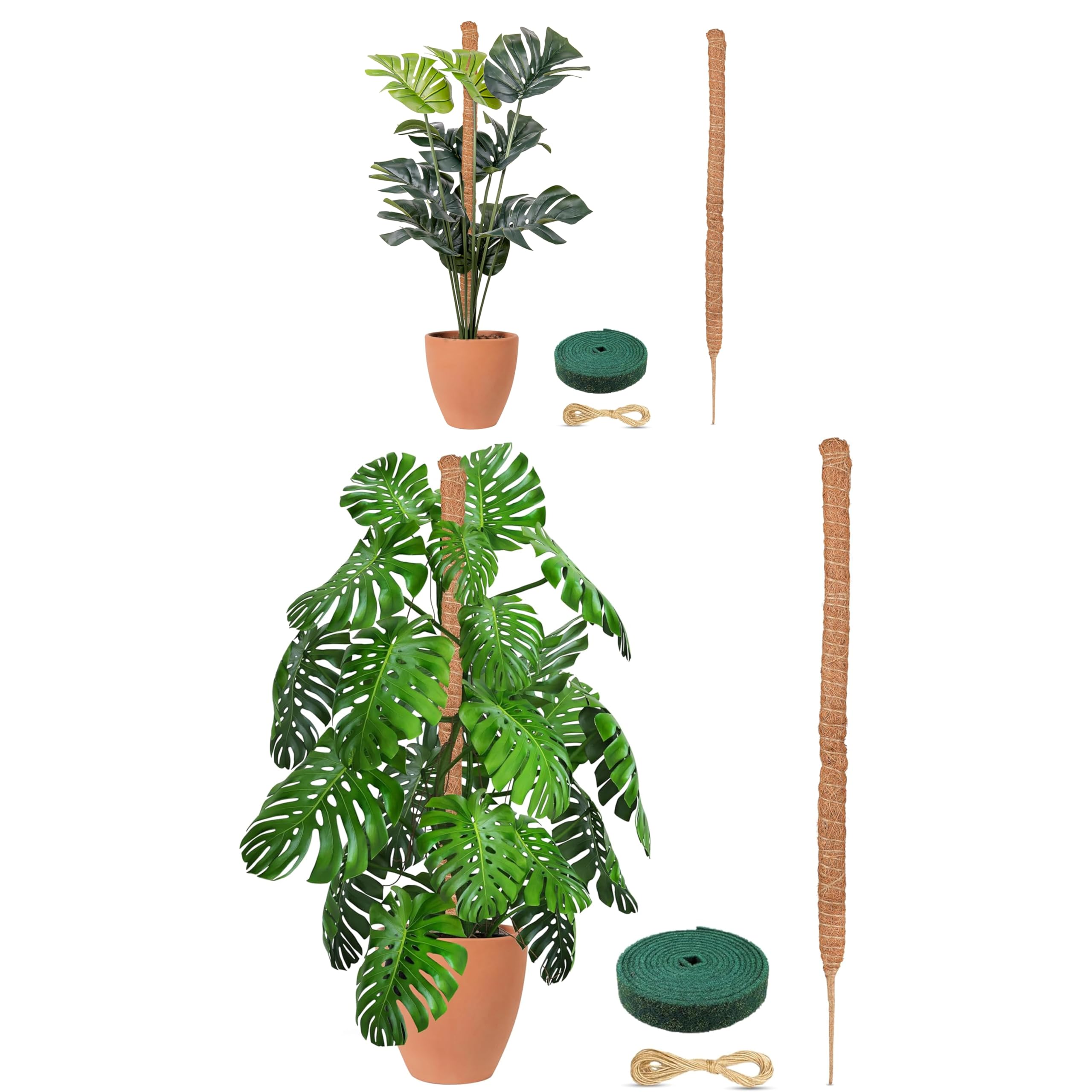 Amazon.com : EcoNour Moss Pole for Plants – 48 inches + EcoNour