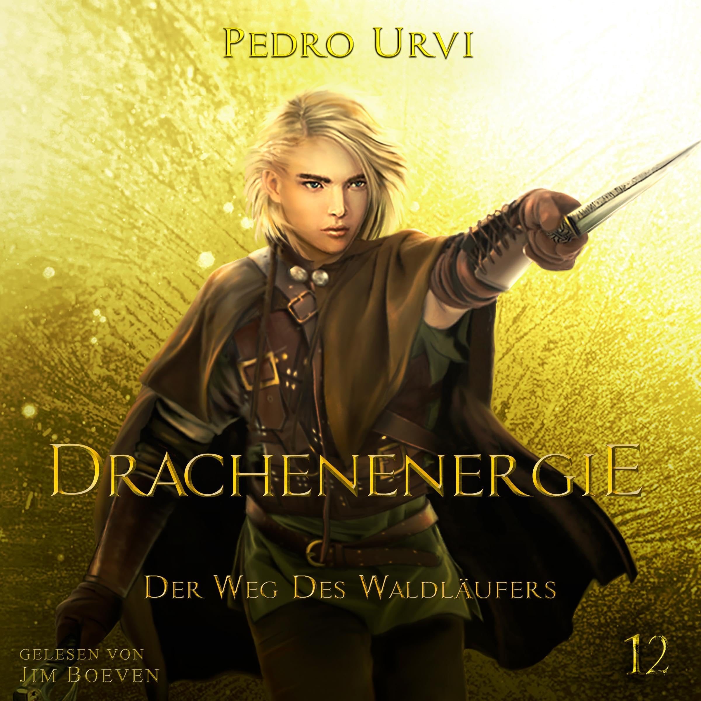 Cover art for Drachenenergie [Dragon Energy]
