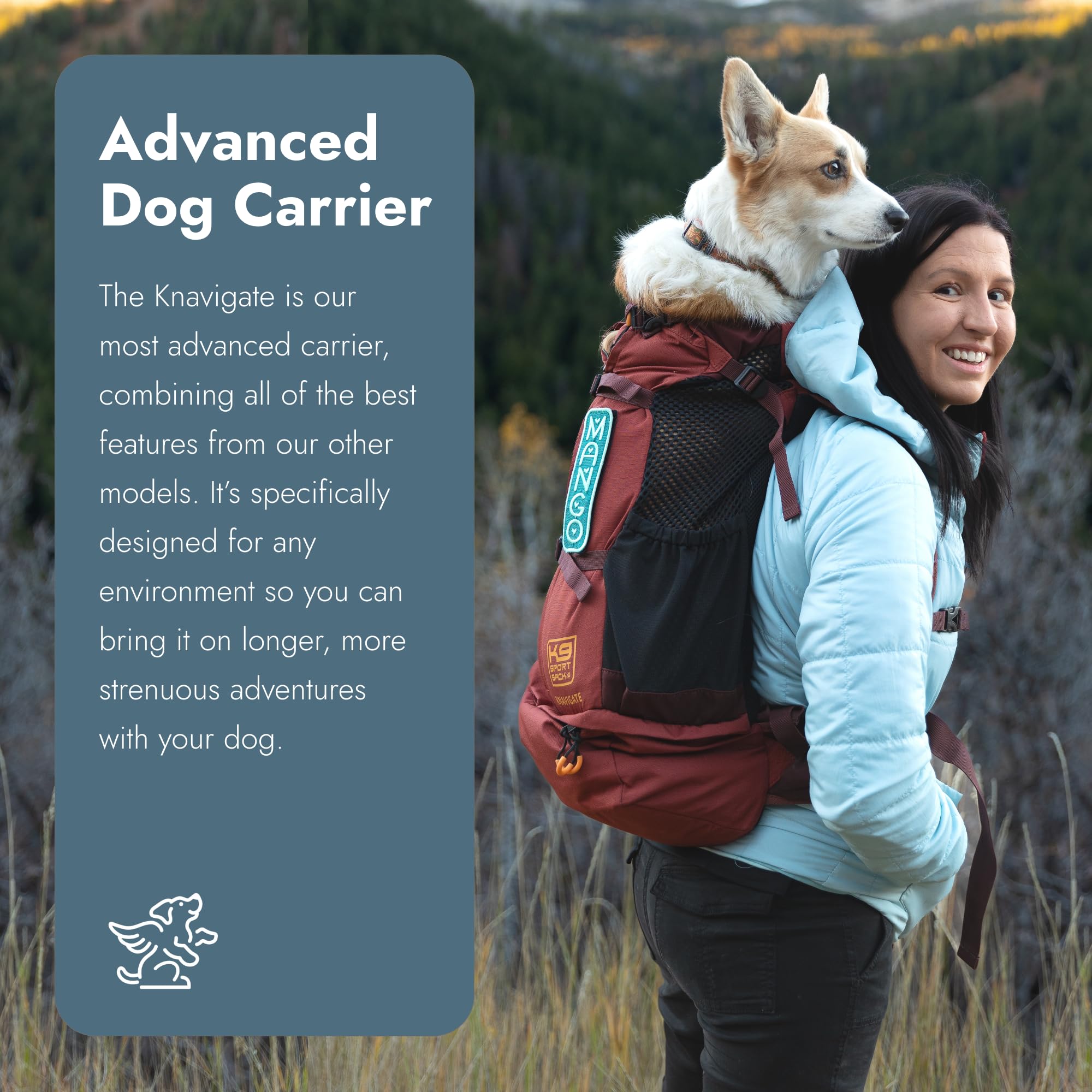 Amazon.com : K9 Sport Sack Knavigate - Medium, Dune - Ideal for