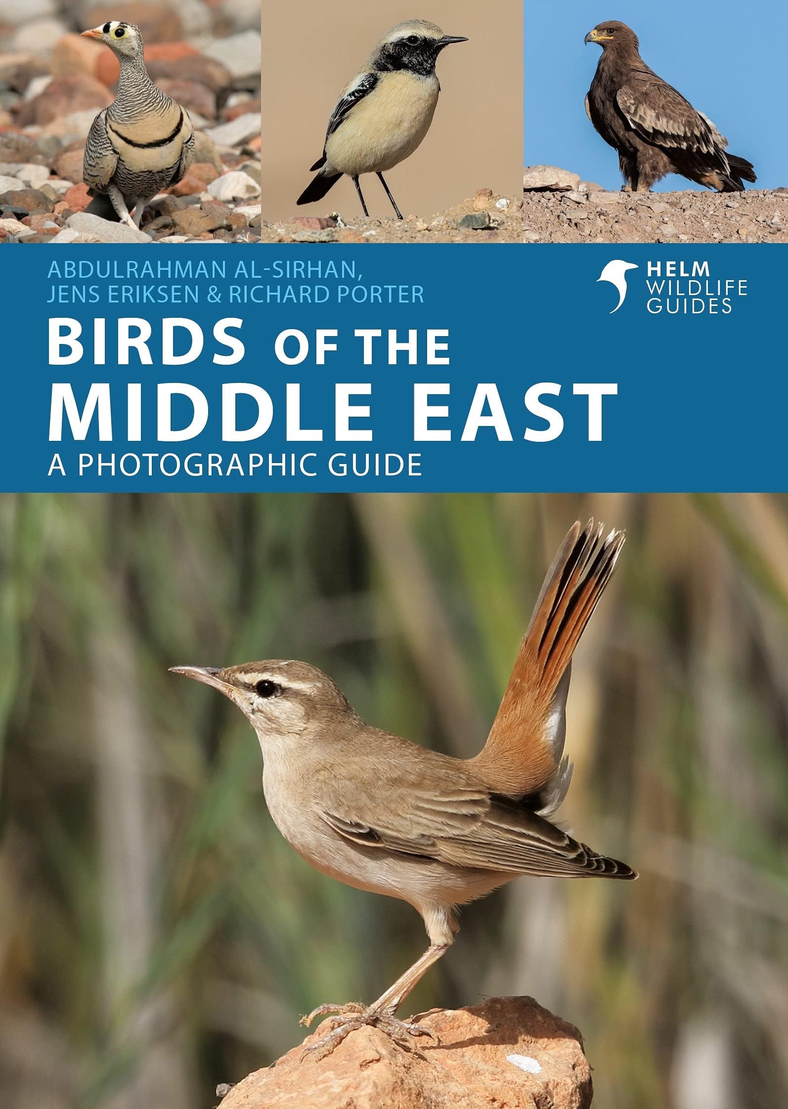 Birds of the Middle East: A Photographic Guide: 3 (Helm Wildlife Guides) Paperback – 5 April 2022