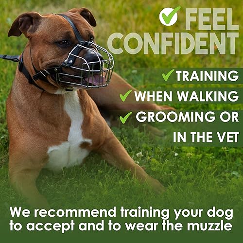Miniatura 6 de BRONZEDOG Bozal para perros con máscara de metal para perros medianos y grandes (tamaño 4 Pitbull y Amstaff)