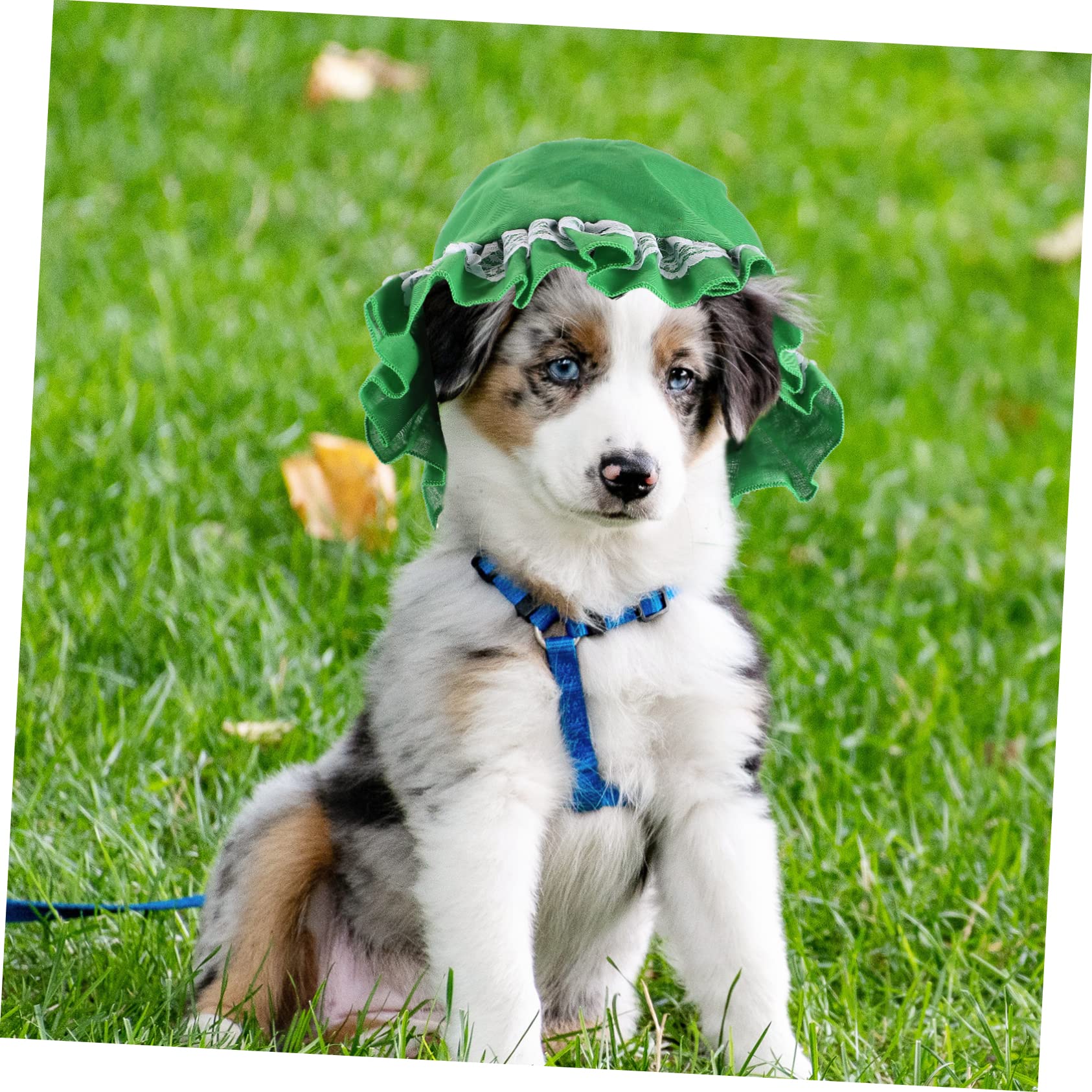 Caps Pet Medium Dogs Sunset Collection, PupLid Trucker Hats For