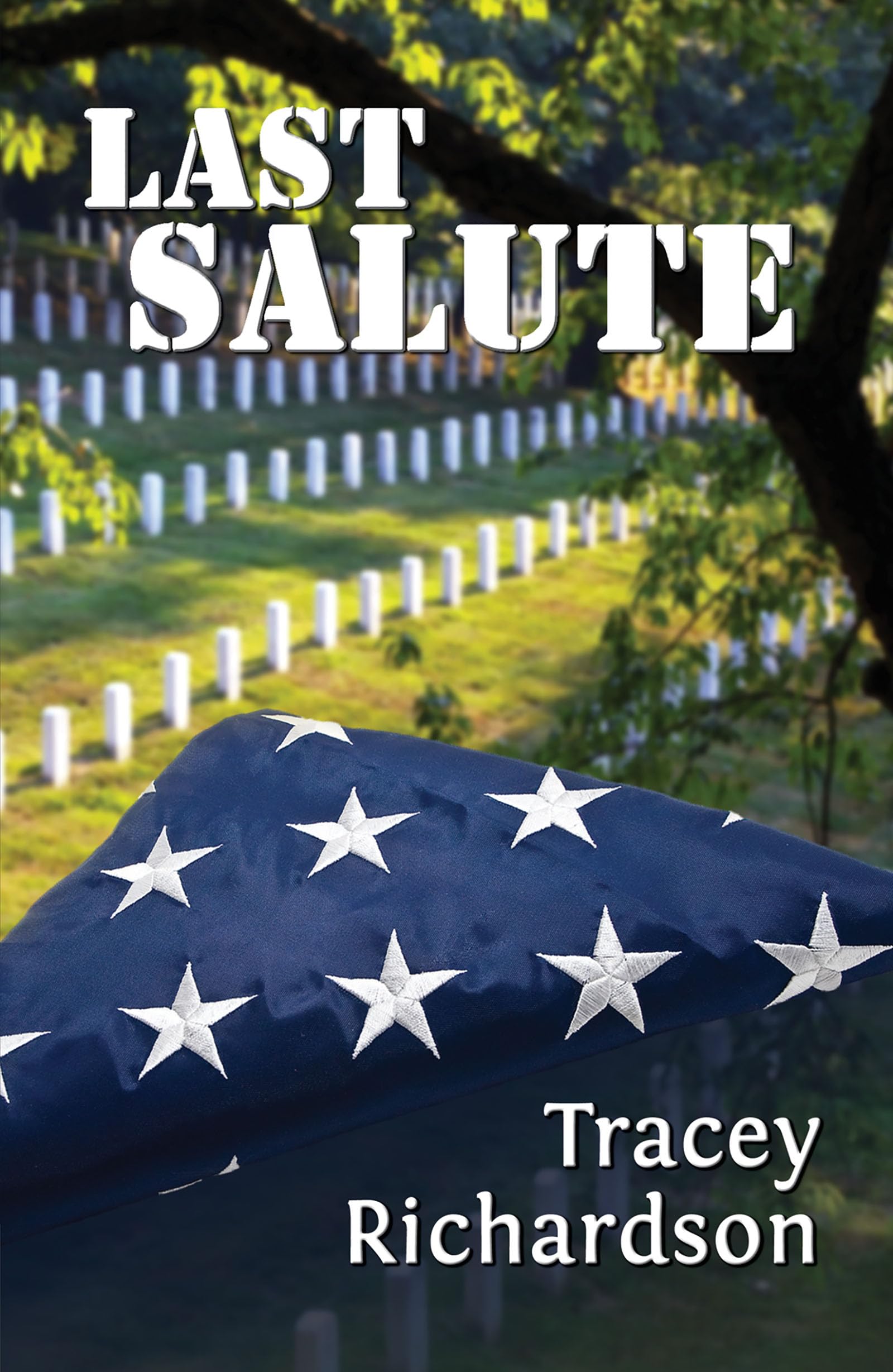 Buy Last Salute — BookShops.in