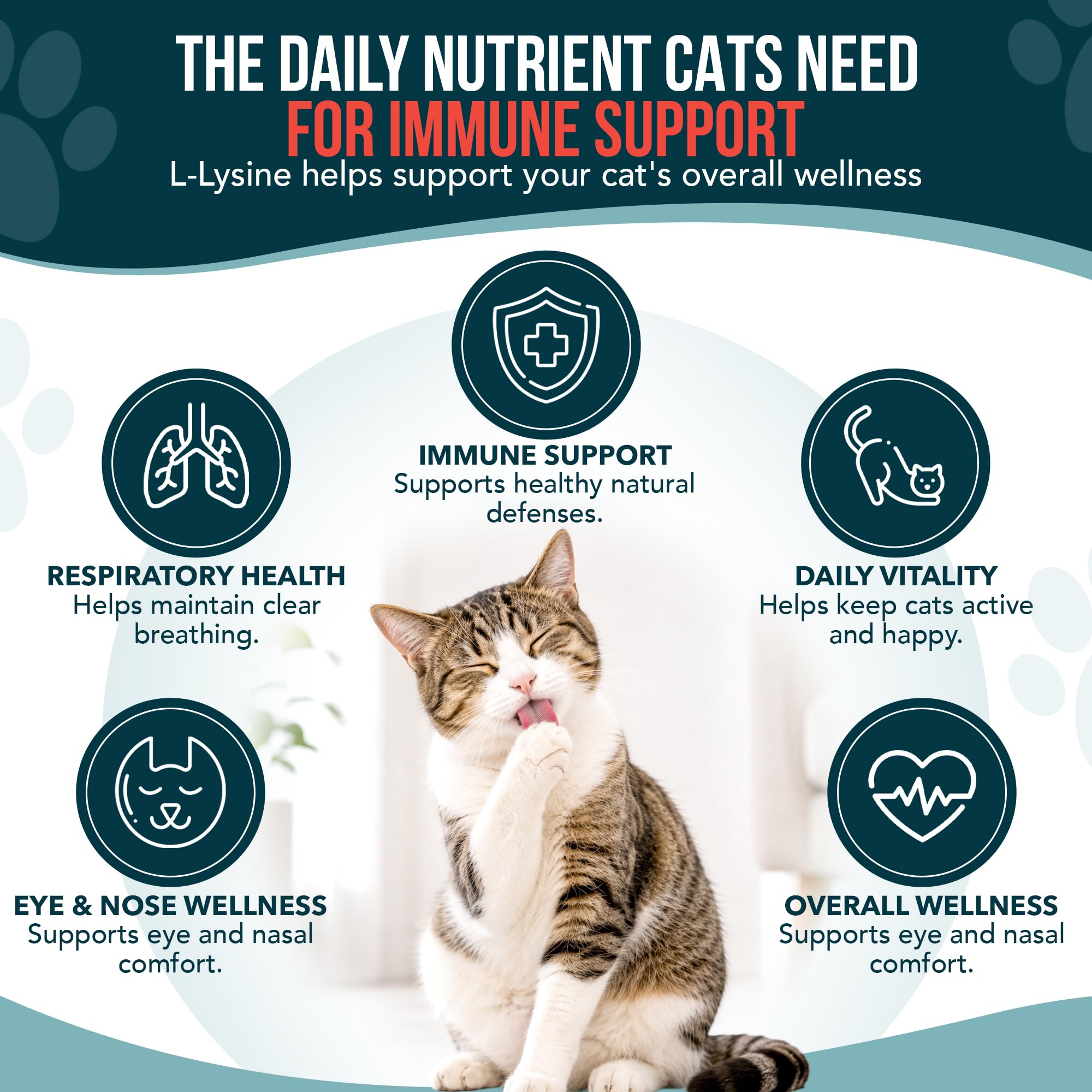 L-Lysine for Cats & Kittens, Cat Lysine Supplement & Cat Allergy Relief for Cats, Immune Support, Respiratory Health, Eye & Nose Wellness, L Lysine Cats Drops, Chicken Flavor (60 ml) — Amazon image 4