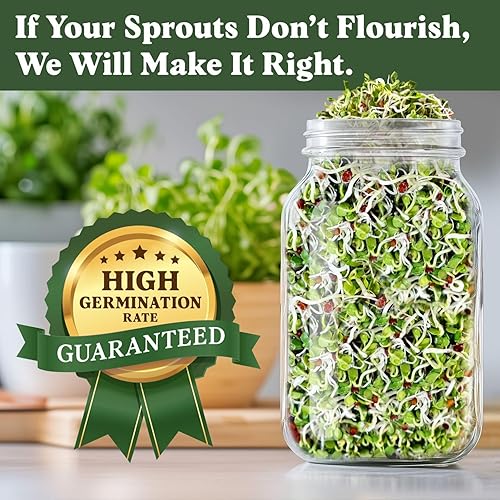 Miniatura 3 de Seedboy Semillas de rábano orgánicas sin GMO para brotes - Semillas de microverdes cultivadas en EE. UU. - Bolsa de 8 oz produce 8 cuartos  24