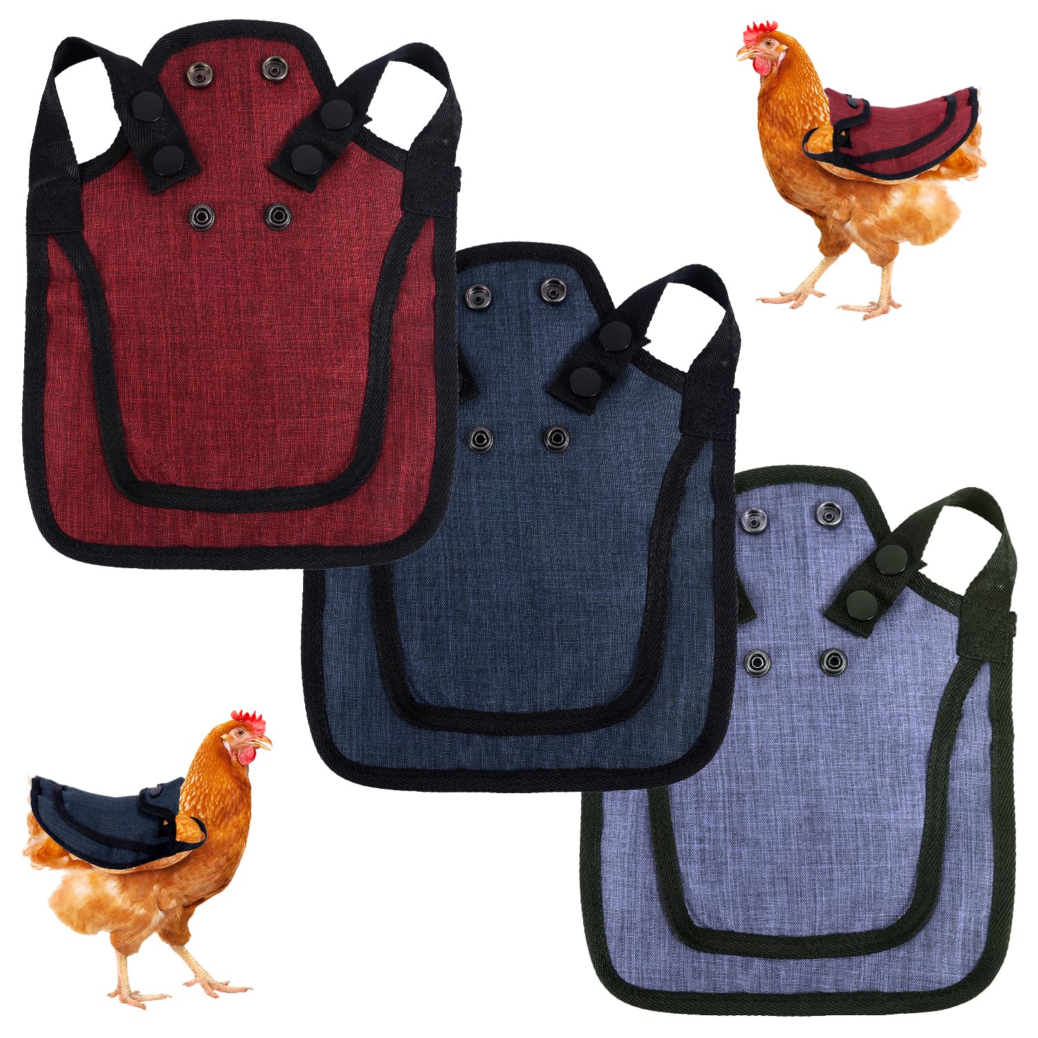 Selles de poulet confortables Gosknor pour prendre soin de vos poules avec amour
