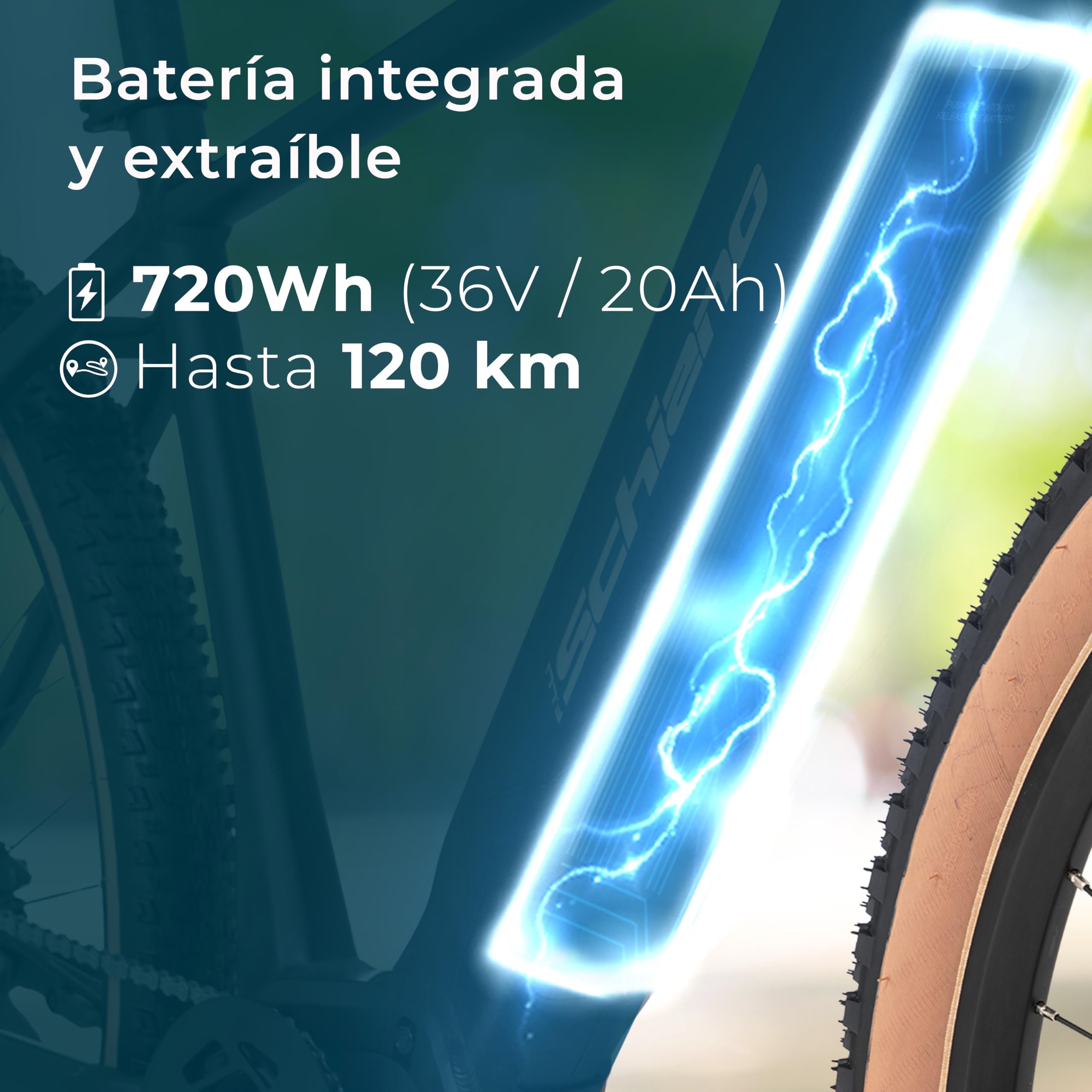 F.lli Schiano Bicicleta Electrica Montaña 29", Motor Central 80Nm, MS29 | Bici Electrica MTB, Bateria Extraible 20Ah 720Wh, Display con USB, Negro