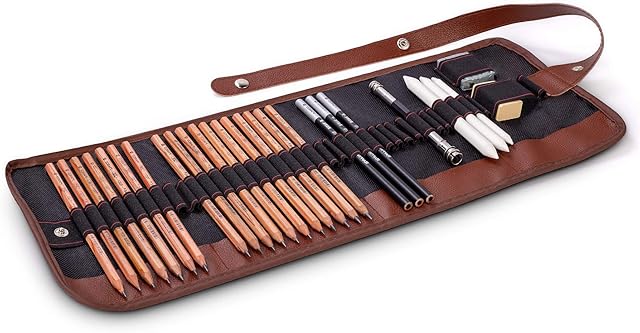 Cooja Drawing Pencils Set Art Supplies, 29 PCS Artist Sketching Pencils Sketch Kit with Graphite Charcoal Pencils Eraser Tortillon Canvas Roll up Pencil Case, Drawing Tools for Beginners Kids Adults