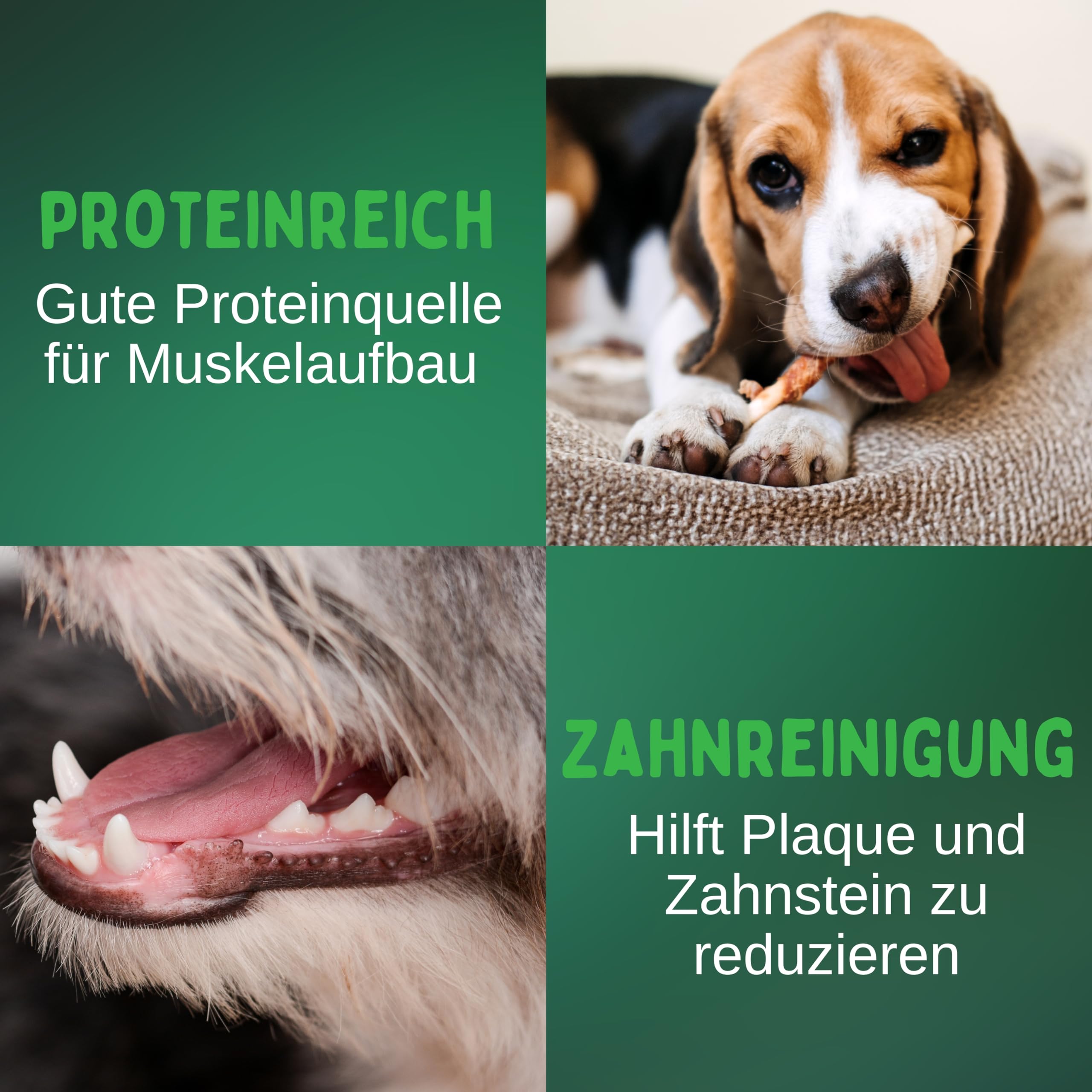 BREERs Rinderlunge für Hunde getrocknet 1 Kg Kausnack aus eigener Deutscher Herstellung, Lunge Hundesnack in ausgezeichneter Qualität