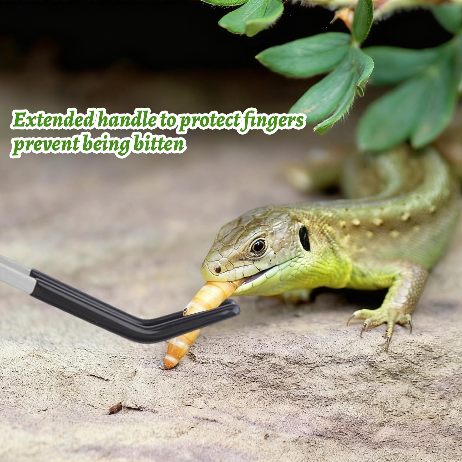 Pinzas de alimentación de reptiles de acero inoxidable con punta de goma, 6 pinzas largas rectas y curvadas, terrario, herramientas de acuascape, alimentador para lagartos, dragón barbudo
