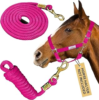 Prairie Horse Supply 10ft Poly Lead Rope with Brass Snap Link, Pink - Horse Lead Rope, Polypropylene Lead, Heavy Duty Rop...