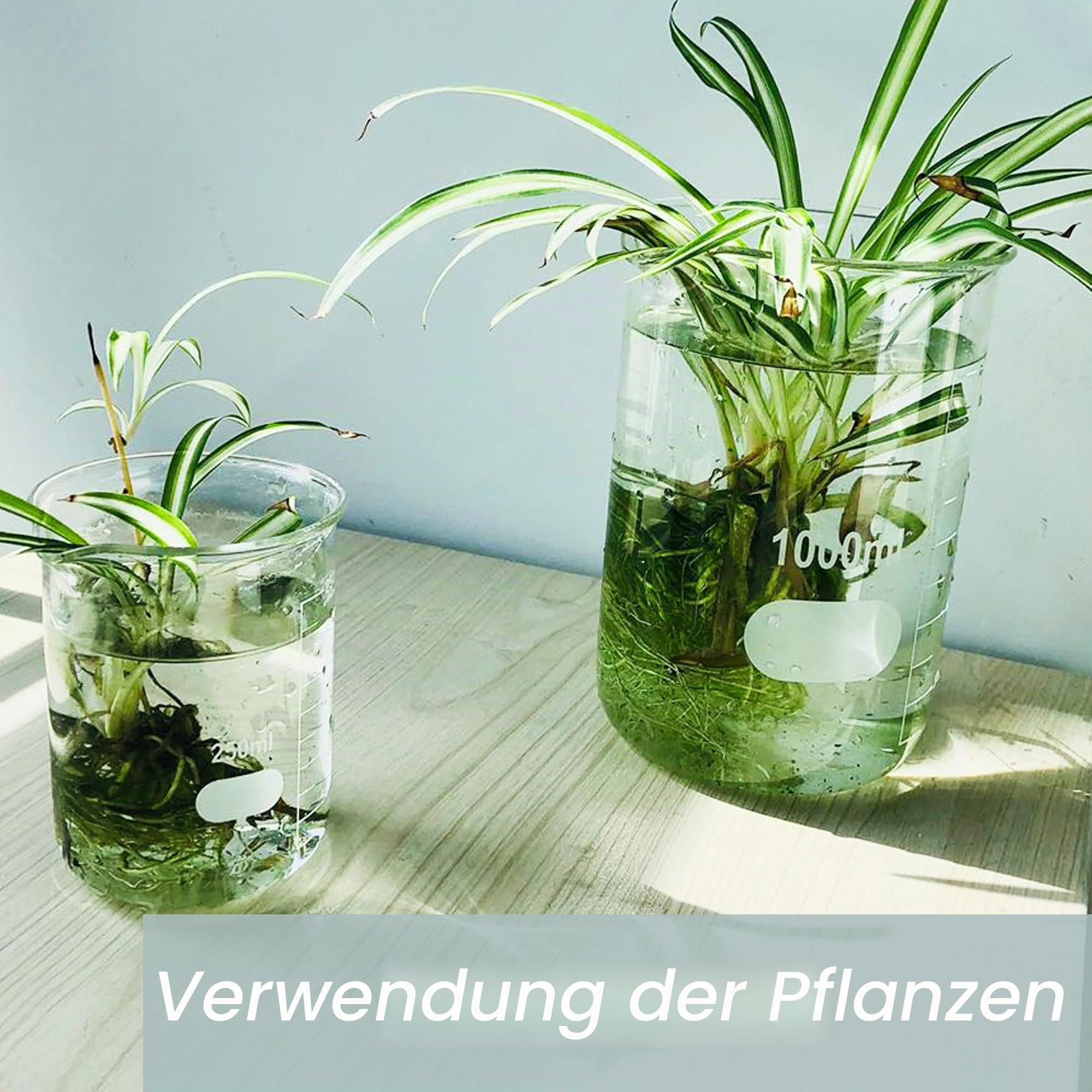 Glas Berker 5000ml, Borosilikatglas Becher mit Graduierung für Labor, Küche, Schule UBG1024