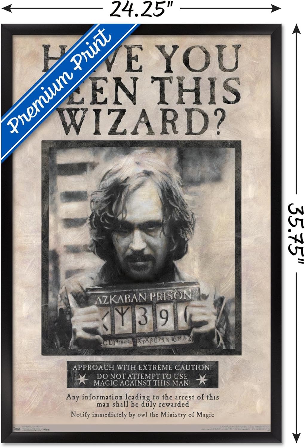 Trends International The Wizarding World: Harry Potter - Sirius Black Wanted Poster Wall Poster, 22.375" x 34", Black Framed Version