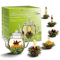Vista 11 de Creano Juego de regalo de té floreciente - Té blanco – 6 Té floreciente con tetera de vidrio de 17 oz