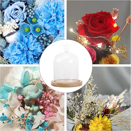 Miniatura 3 de Amosfun Contenedor de Navidad para vacaciones luz preservada de cumpleaños estilo pastel de bricolaje suculentas recuerdos de mesa medallas de aire