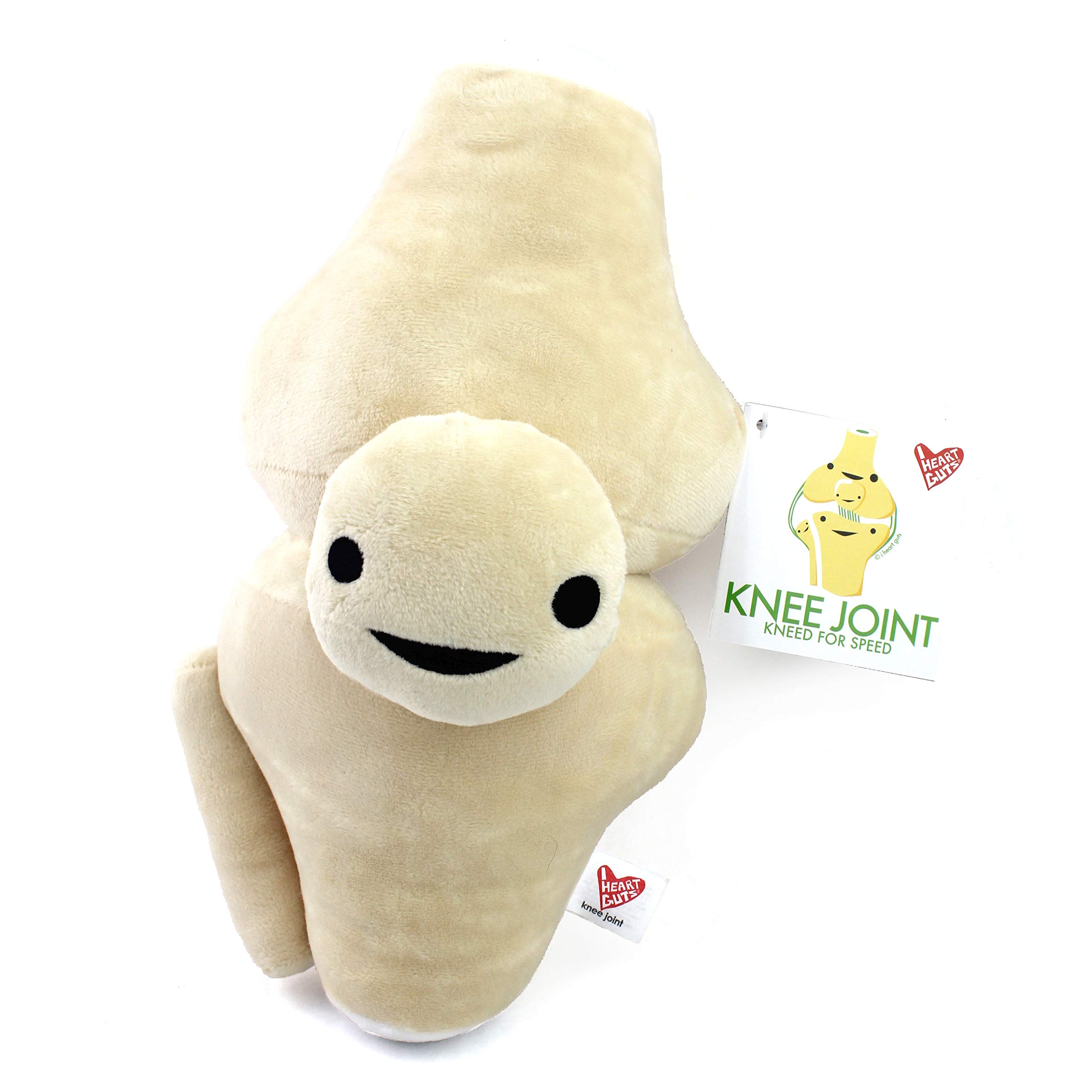 I Heart Guts Knee Joint Plush - 12" Cute Educational Organ Toy for ACL Tears & Knee Replacement - Funny Get Well Recovery Gift for Ortho Nurse Patients Athletes & Medical Student STEM Anatomy Plushie