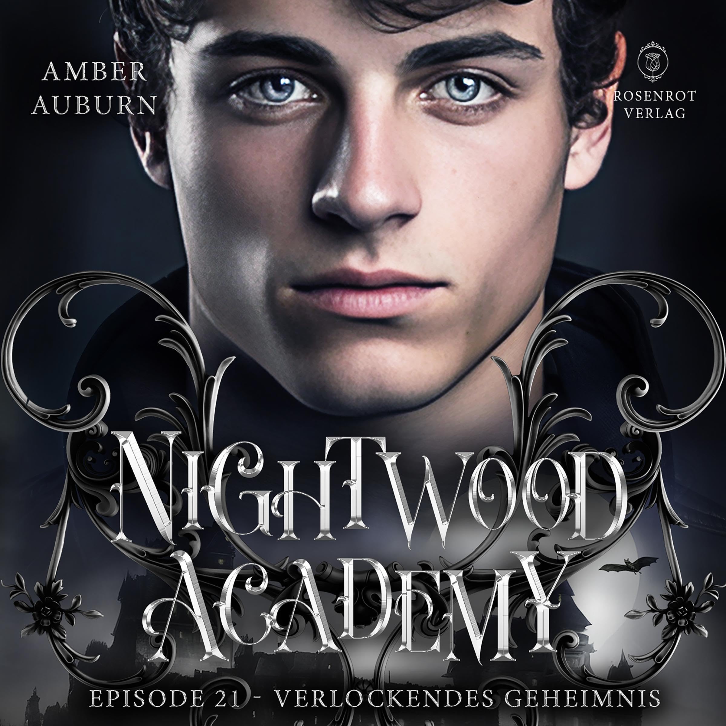 Cover art for Verlockendes Geheimnis